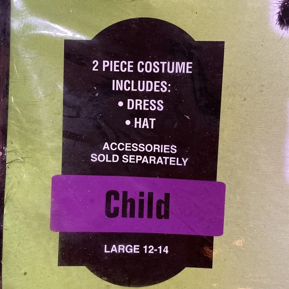 New Darling Witch 🧙‍♀️ costume girls size lrg 12-14 dress and hat